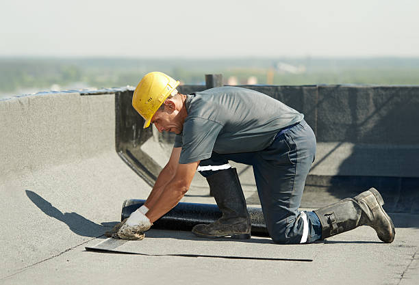 Best Spray Foam Insulation  in Fairbury, IL