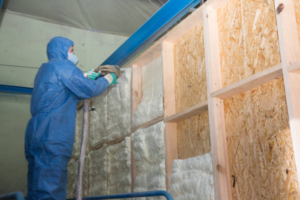 Best Best Insulation Companies  in Fairbury, IL